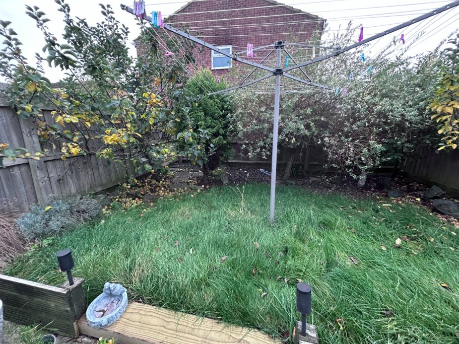 Overgrown garden with a rotary clothesline and shrubs in a domestic setting.